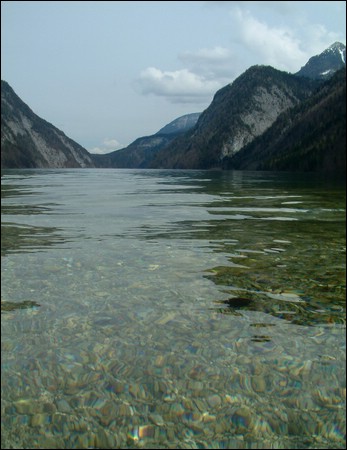 see2.jpg