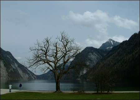 ufer.jpg