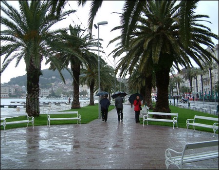 regen.jpg