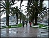 regen.jpg
