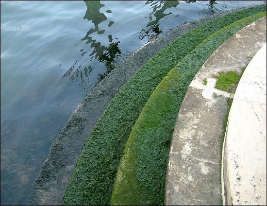 treppen.jpg